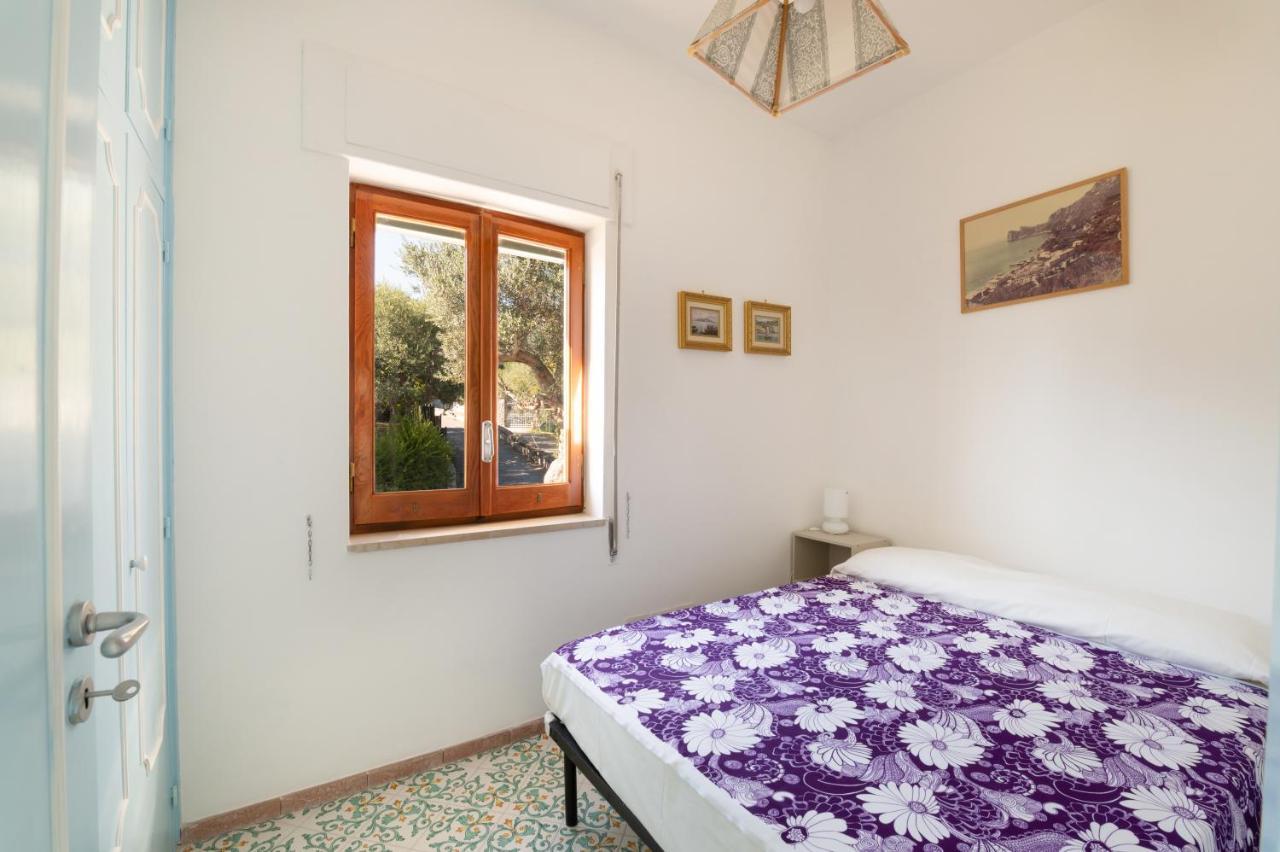 Main Roof Terrace Apartment Nerano Exterior foto