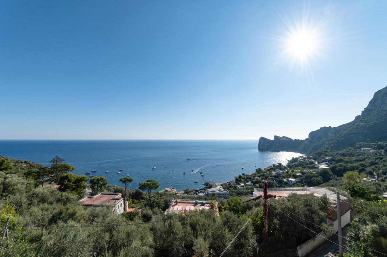 Main Roof Terrace Apartment Nerano Exterior foto